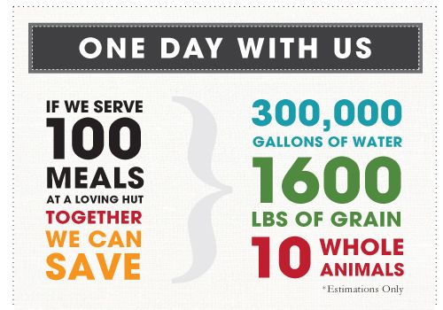 1 day with us if we serve 100 meals at a loving hut together we can save 300,000 gallons of water 1600 pounds of grain 10 whole animals estimations only