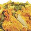 Rotini with Katsu