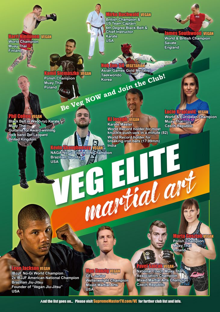 Vegan elite martial art poster 2