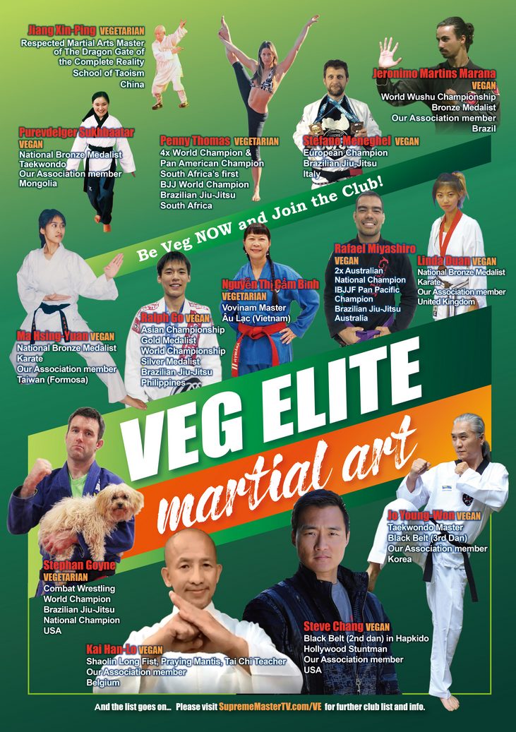 Vegan elite martial art poster 3