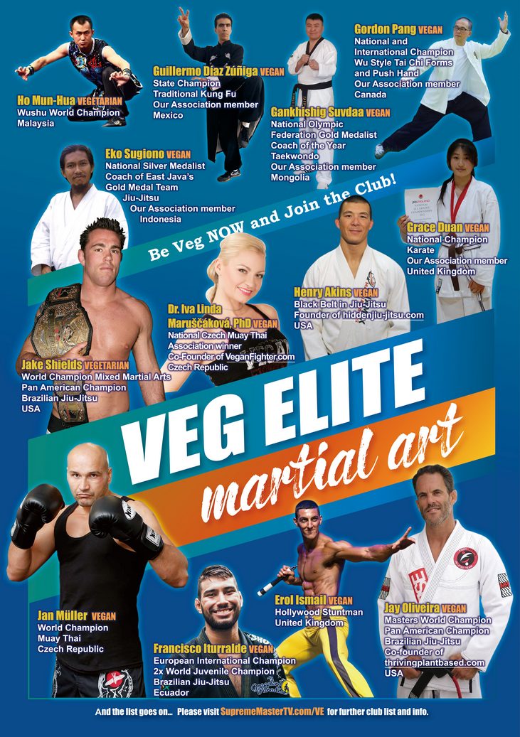 Vegan elite martial art poster 4