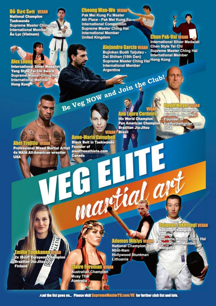 Vegan elite martial art poster 1